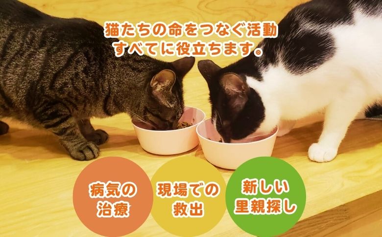 多頭飼育崩壊 支援チケット(047_5010)