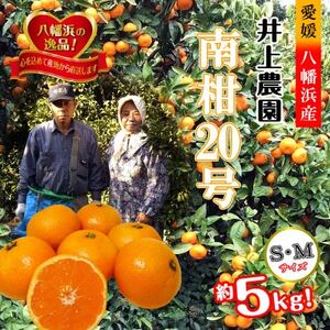 M、Sサイズでお届け・濃厚な味わい! 井上農園「南柑20号」約5kg 【C39-12】【1245424】