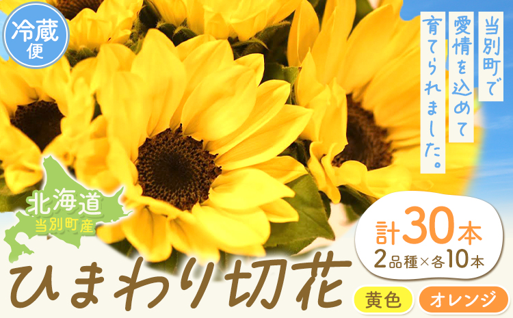 ひまわり 切花 30本 黄色 オレンジ 四季農場《6月上旬-10月中旬頃出荷》北海道 当別町 花 お花 はな ひまわり 夏 切り花 冷蔵便 北海道産 当別町産 インテリア