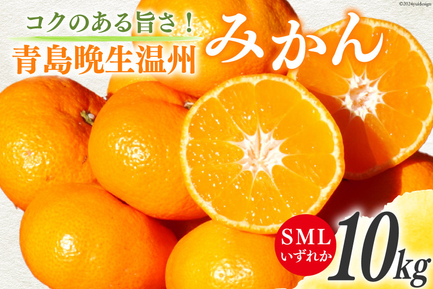 
みかん 10kg【期間限定発送】コクのある甘さ うまぁ〜い！！青島晩生温州みかん S・M・Lいずれか [黒田農園 宮崎県 日向市 452060247] 果物 フルーツ ミカン 蜜柑 柑橘 贈答用
