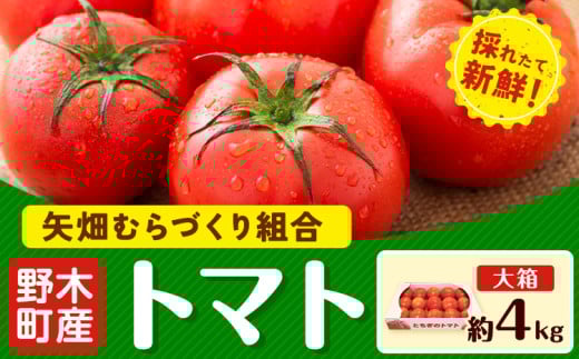【先行予約】トマト 約4kg 大箱 栃木県 野木町産 矢畑むらづくり組合 《2025年10月上旬-2026年6月下旬頃出荷》栃木県 野木町 トマト 野菜 新鮮