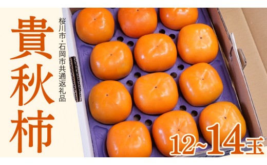 
                  貴秋柿 12～14玉  (桜川市・石岡市共通返礼品) 果物 くだもの フルーツ 柿 かき 2026年11月上旬以降発送 [DC006sa]
                