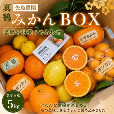 【ふるさと納税】お正月特別便♪季節の柑橘詰合せ5kgいろんな種類が詰まった1箱【12月下旬発送】【先行予約】【1762628】