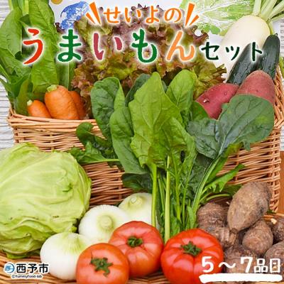 ふるさと納税 西予市 <せいよのうまいもんセット:新鮮野菜の詰合せ(5〜7品目)>　旬　特産品　季節　多品目