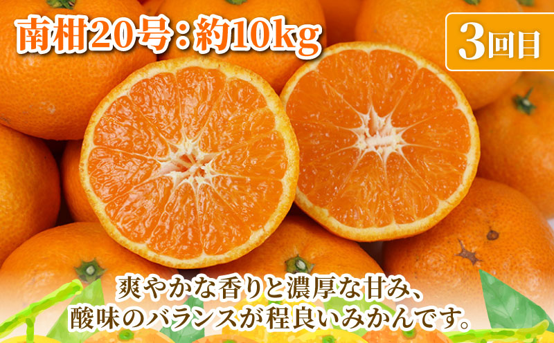 旬の 温州みかん 10kg × 3回 定期便 矢野青果 準贈答用 極早生 宮川早生 南柑20号 みかん mikan 愛媛みかん 愛媛ミカン 愛媛蜜柑 果物 くだもの フルーツ 濃厚 甘い 甘味 さっぱ