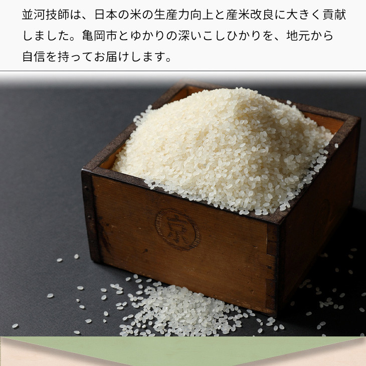 【定期便】京都丹波米こしひかり定期便20kg（5kg×4回）※精米したてをお届け