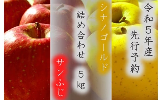 167  サンふじ と シナノゴールドの詰め合わせ 5ｋｇ 【双葉農園】