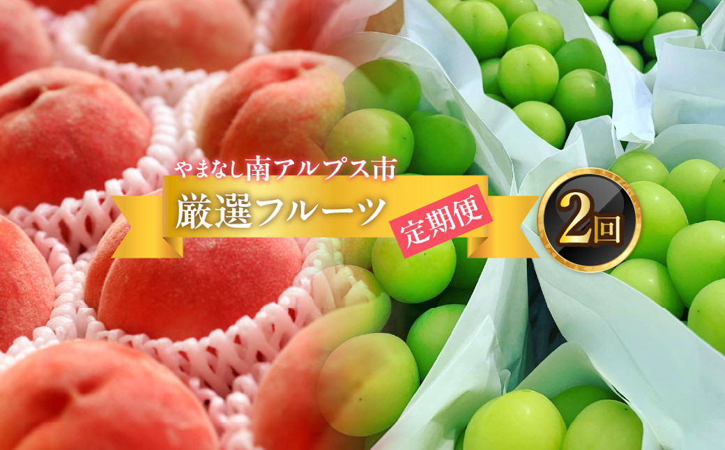 
            ＜2025年発送分先行予約＞フルーツギフト専門店が選ぶ南アルプスの厳選フルーツ定期便　全2品種（桃・シャインマスカット） ALPAH049
          