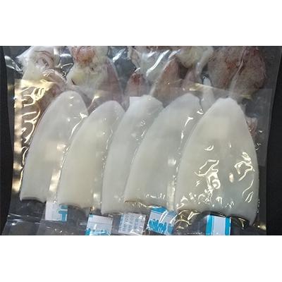 ふるさと納税 宮津市 朝どれ白いか 1kg (中サイズ 3〜6杯) 【京都産　刺身OK】 |  | 03
