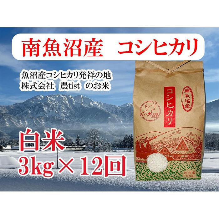 【ふるさと納税】【令和7年産】【定期便 南魚沼産】コシヒカリ 白米3kg×12回【2025年9月中旬より順次発送予定】 | お米 こめ 白米 食品 人気 おすすめ 送料無料