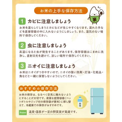 ふるさと納税 天草市 【6ヶ月定期便】天草五ッ星米 精米 5kg_S061-T06A |  | 03