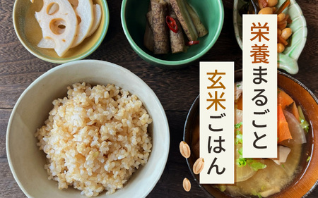 【玄米】5kg コシヒカリ 令和7年産 玄米【長谷川農園】 [m22-a010]