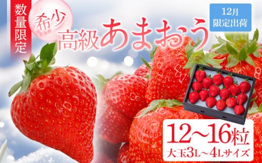 
                  12月限定高級あまおうギフト 大玉3L～4Lサイズ 約12～16粒 BD06
                