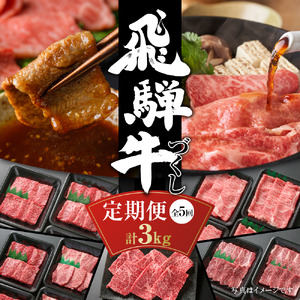 【定期便】飛騨牛 全５回（焼肉・すき焼き・ステーキ）計3kg | 焼肉 ステーキ カルビ 食べ比べ 牛 定期 飛騨高山ミート S857