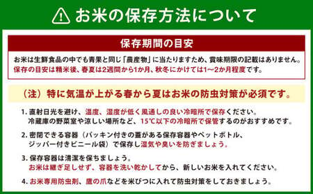 【12ヶ月定期便】人吉球磨産 ヒノヒカリ 5kg