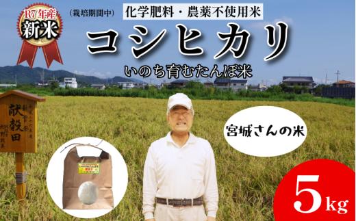 【令和7年産新米】米 コシヒカリ 5kg 天皇献上米 (栽培期間中）化学肥料・農薬不使用米 白米 精米 こめ  ご飯 備蓄米 ごはん 新米  環境 に優しい 小松島市 上王子特質米 5kg