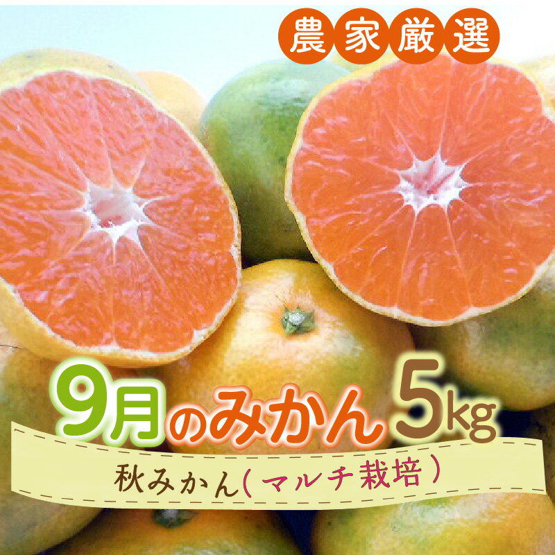 【ふるさと納税】9月の御浜柑橘 秋みかん(極早生みかん) 5kg【御浜町でとれた秋みかんをお届け！】