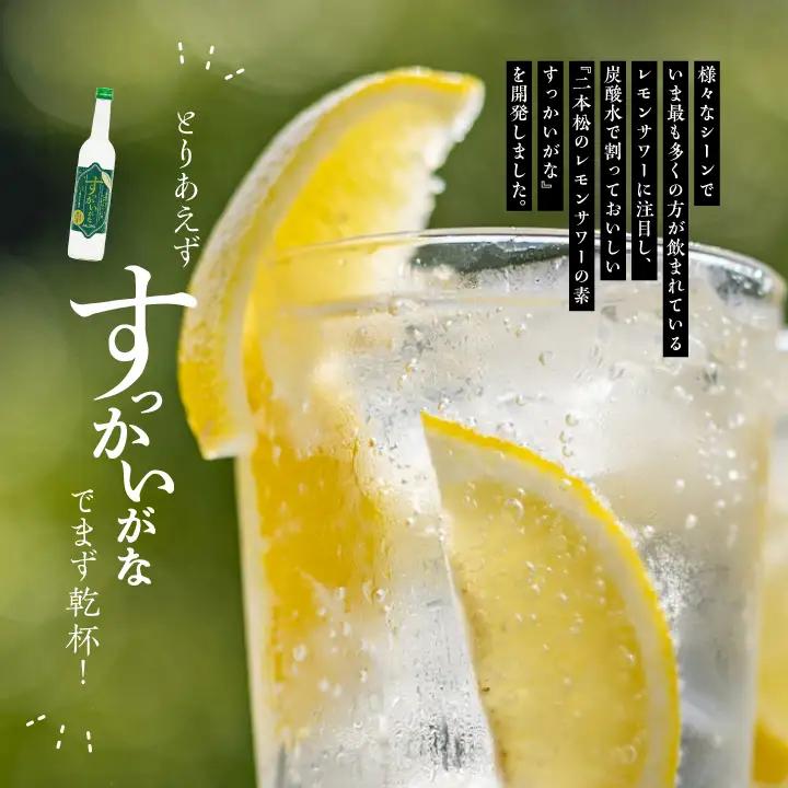 奥の松酒造「すっかいがな」500ml×2本【道の駅「安達」智恵子の里】