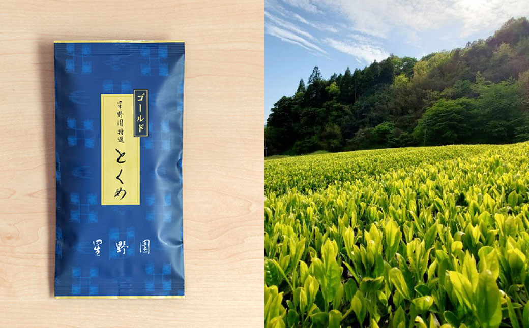 八女市産 星野園 特選煎茶 とくめゴールド (100g×5袋) 合計500g 八女茶 緑茶 日本茶 お茶 茶葉 煎茶 国産茶