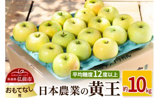 りんご 【先行受付】平均糖度12度以上！ 黄王 約10kg おもてなし用 クール便