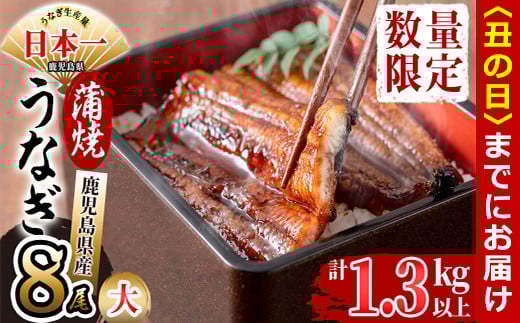 【丑の日までに配送】鹿児島県産 伊崎田のうなぎ蒲焼 大＜170g以上＞× 8尾(計1.3kg以上) e4-005-us