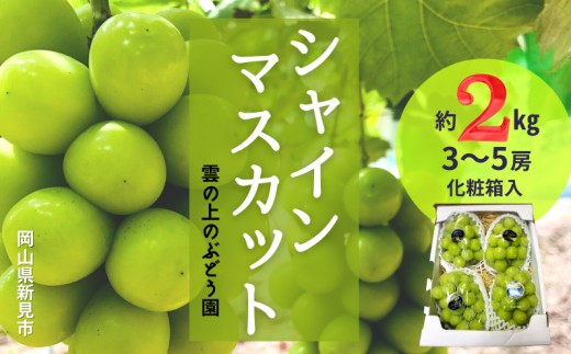 雲の上のぶどう園 シャインマスカット 約2kg 3～5房 【先行予約 2026年10月中旬から順次発送】