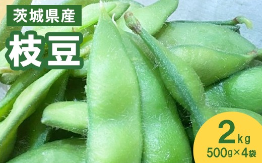
            576 枝豆 2kg 500g × 4袋 ファームランドさいとう
          