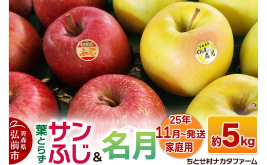 【25年11月発送】りんご【家庭用】葉取らずサンふじと名月 約5kg【レビューキャンペーン】