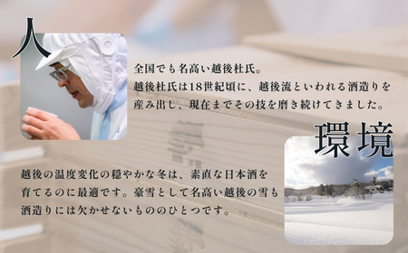 日本酒 デリシャス長さん (720ml×2本) 新潟銘醸 | 日本酒