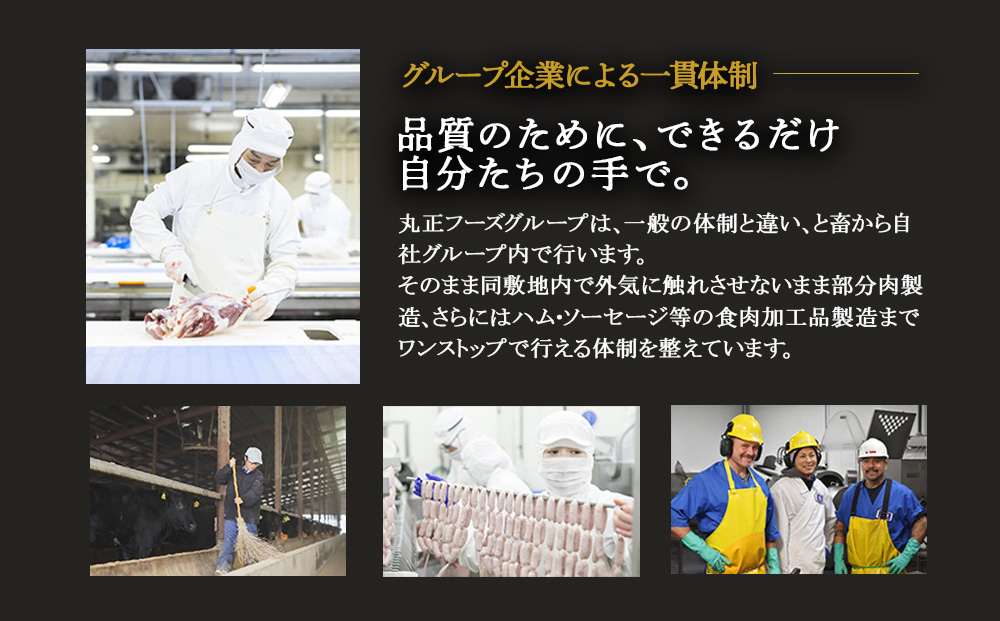 えびの高原 ロングサイズウインナー 176g×10パック 合計 1760g 豚肉 牛肉 人気 おかず お弁当 おつまみ 総菜 冷蔵 加工品 焼肉 ギフト 九州 宮崎県 えびの市 送料無料