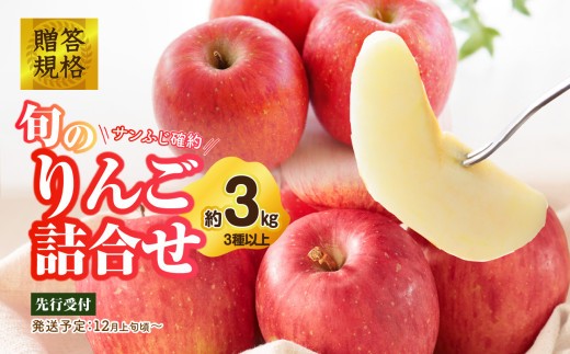 
            015-052 《先行受付》贈答規格 旬のりんご詰合せ約3kg（サンふじ確約3種以上）特秀～秀 大江町産【2026年12月上旬頃～発送予定】【大江町産・山形りんご・りんご専科 清野】 【015-052】
          