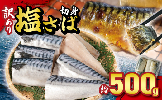 訳あり 塩サバ切身 約500g ノルウェー産 冷凍 ｻﾊﾞ 鯖 塩サバ 塩鯖 鯖切身 鯖切り身 サバ切身 サバ切り身 切り身 切身 海鮮 魚 大容量 青魚 おかず 惣菜 魚介 おつまみ 弁当 人気 冷凍食品 グルメ 贈答 贈物 ギフト 長期保存 小分け お取り寄せ BBQ 送料無料 ふるさと納税 ふるさと納税サバ 千葉県 銚子市 大一奈村魚問屋