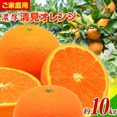 【ふるさと納税】【訳あり・ご家庭用】和歌山由良町産の濃厚清見オレンジ 約10kg 厳選館 《2026年2月中旬-3月中旬頃出荷》 和歌山県 日高町 みかん 柑橘