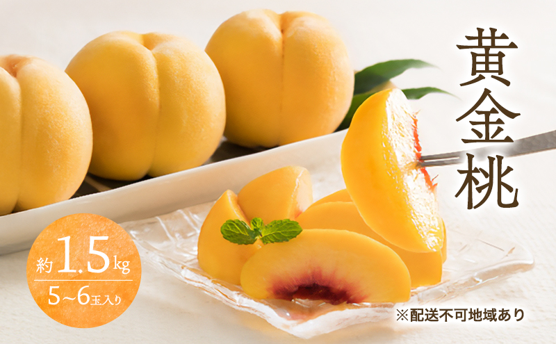 桃 2026年 先行予約 黄金桃 1.5kg 5～6玉 もも モモ 岡山 国産 フルーツ 果物 ギフト 桃茂実苑
