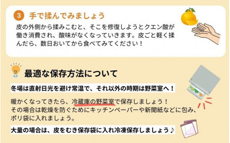 ＜2月より発送＞【先行予約】家庭用不知火10kg+250g（傷み補償分）【デコポンと同品種・人気の春みかん】【わけあり・訳あり】 / 和歌山 みかん 果物 ミカン フルーツ 果実 柑橘 デコポン【ik