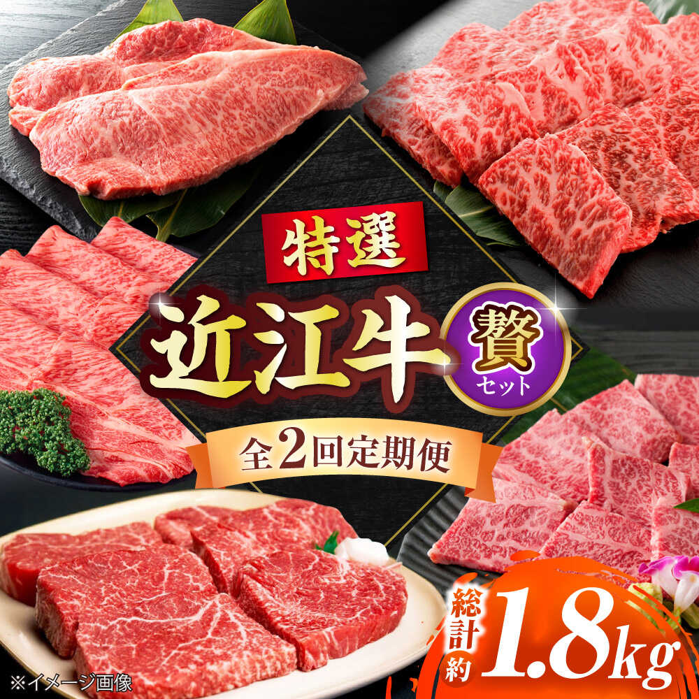 【ふるさと納税】【全2回定期便】特選近江牛「贅」 / 牛肉 和牛 国産牛 黒毛和牛 2回お届け 高級部位 / 栗東市 / 有限会社 岡山[BIBE025]