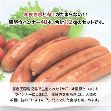 「かごしま黒豚さつま」ウィンナー1.2kg【配送不可地域：離島】【1185914】