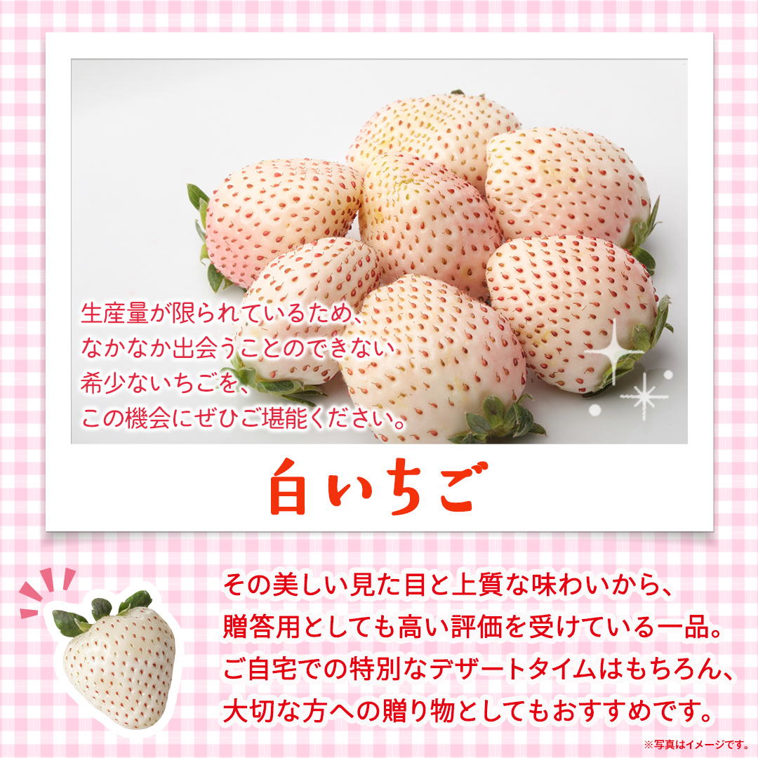 【定期便】白いちご 約200g×2パック 3ヶ月連続お届け便【2027