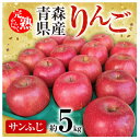 【ふるさと納税】「青森県五戸町産」サンふじりんご　約5kg(12～20玉)【配送不可地域：離島・沖縄県】【1101259】