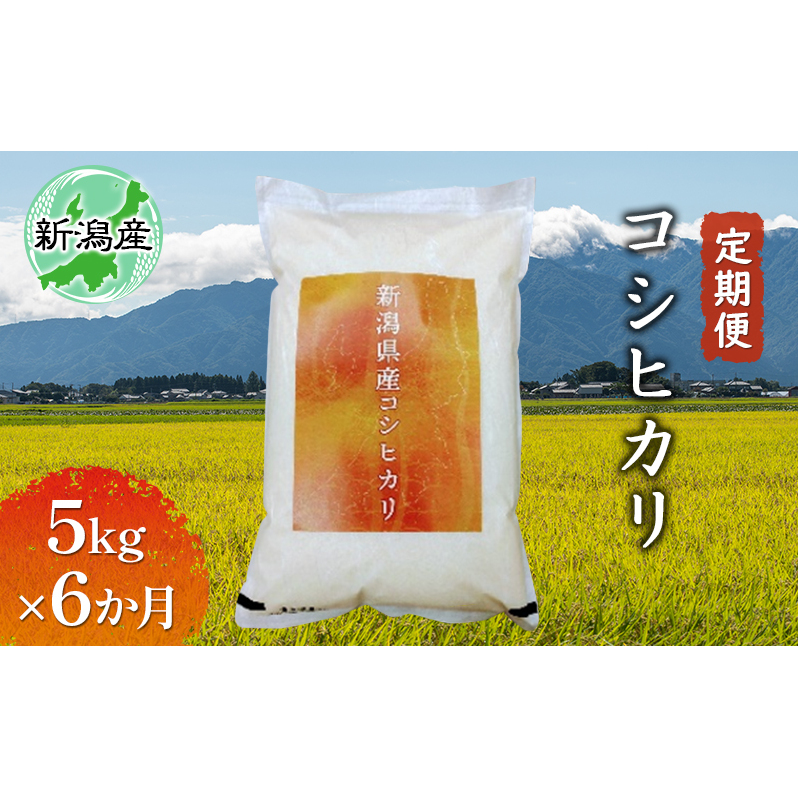 新潟産コシヒカリ 5kg 全6回 お米 
