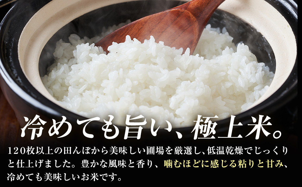 令和7年産 大田原市 藤田farmのコシヒカリ 【無洗米】 10kg ｜栃木県産 米 お米  コメ こしひかり コシヒカリ 栃木県 【選べる容量】5kg 10kg  数量限定