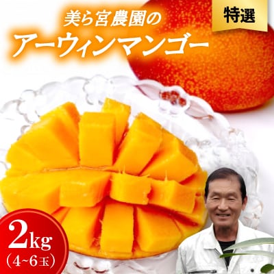 【2026年7月から順次発送・特選】美ら宮農園のアーウィンマンゴー2kg(4～6玉)【配送不可地域：離島】