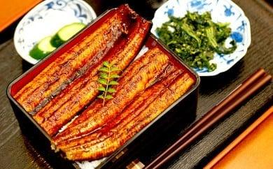 高知県産 うなぎ蒲焼き 220g×3尾セット