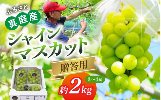 
                  〈贈答用〉岡山産 シャインマスカット 約2kg｜ シャインマスカット 果物 フルーツ マスカット ますかっと くだもの 先行予約 ブドウ 葡萄 ぶどう 真庭市　シャインマスカット しゃいんますかっと shinemuscat ブドウ 葡萄 果物 くだもの フルーツ 新着 人気 岡山県産シャインマスカット マスカット 産地直送 数量限定 食品 シャイン ぶどう  【beac001-01】
                