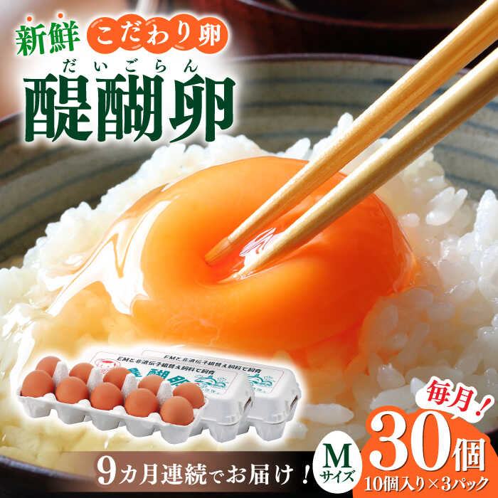 【ふるさと納税】【9回定期便】岐阜産こだわり産みたて 卵 30個入りMサイズ【醍醐卵】/ 卵 たまご 卵 定期便 玉子 たまごスープ 卵焼き 産地直送 新鮮 岐阜市/棚橋ファーム[ANAZ005]