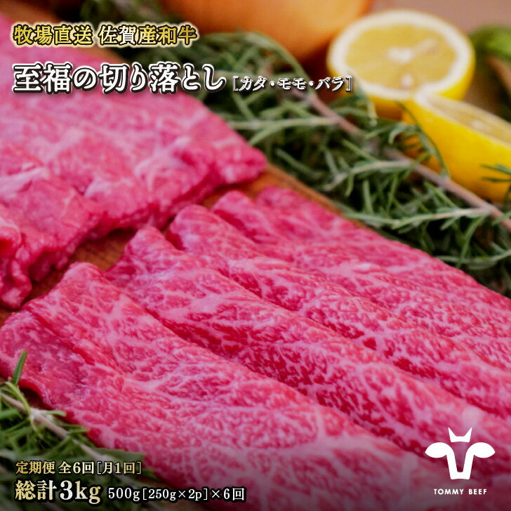 【ふるさと納税】【定期便6回】【牧場直送】佐賀産黒毛和牛 至福のきりおとし500g：B730-004