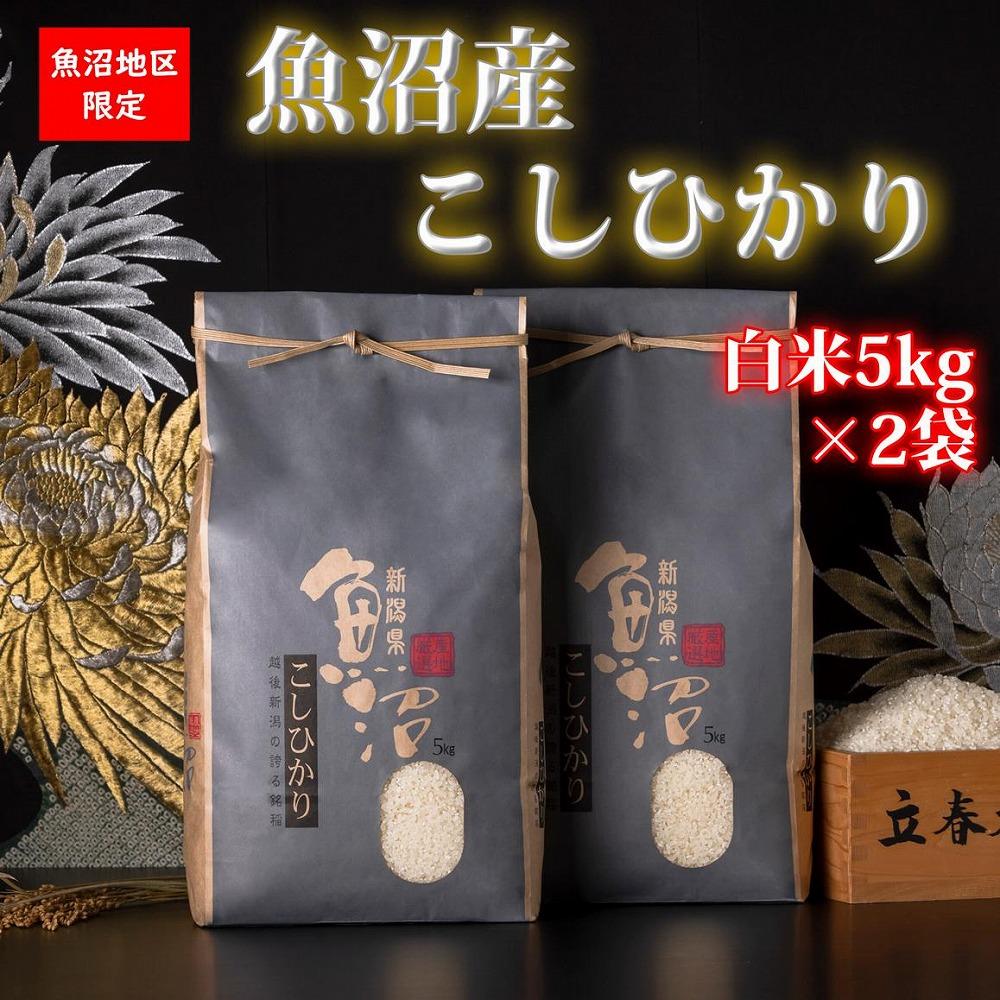 【頒布会・令和7年産 新米】魚沼産コシヒカリ（白米10kgを全6回）【新潟県 特A地区】｜新潟　魚沼　コシヒカリ　定期便　10kg　6回　米　白米