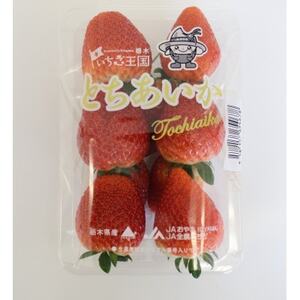 【いちご王国の逸品】栃木県産「とちあいか」260g×4p【配送不可地域：離島・北海道・沖縄県・中国・四国・九州】【1592862】