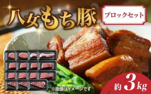 八女もち豚ブロックセット 約3キロ 072-208