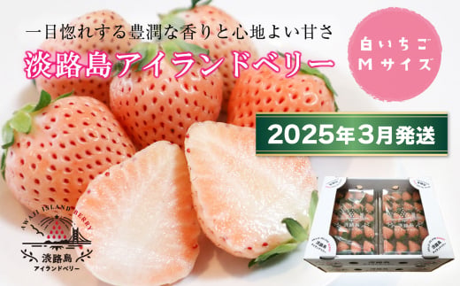淡路島アイランドベリー　白苺淡雪　Mサイズ【2026年3月発送予約受付・お届け日指定不可】　　[白苺 いちご 苺 イチゴ 白いちご  白苺 イチゴ いちご 白いちご]